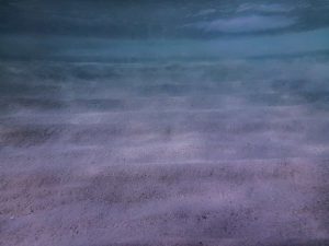 Underwater image of sand with darkening shades of blue as water deepens